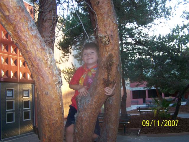 618x457 pixels (73K)