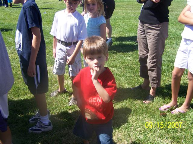 618x457 pixels (78K)