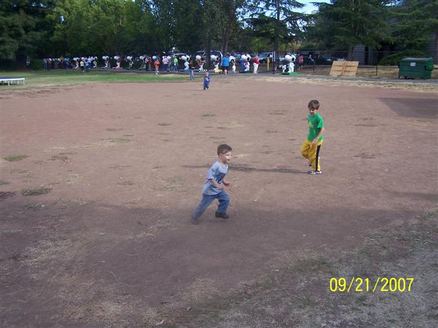 618x457 pixels (54K)