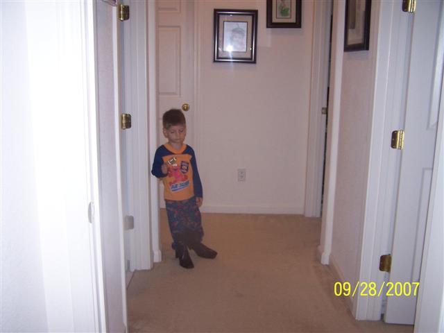 618x457 pixels (29K)