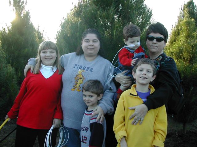 618x457 pixels (50K)