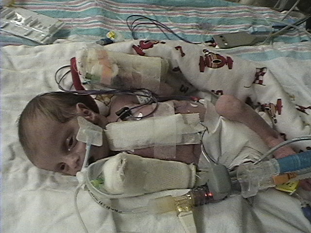 627x466 pixels (81K)