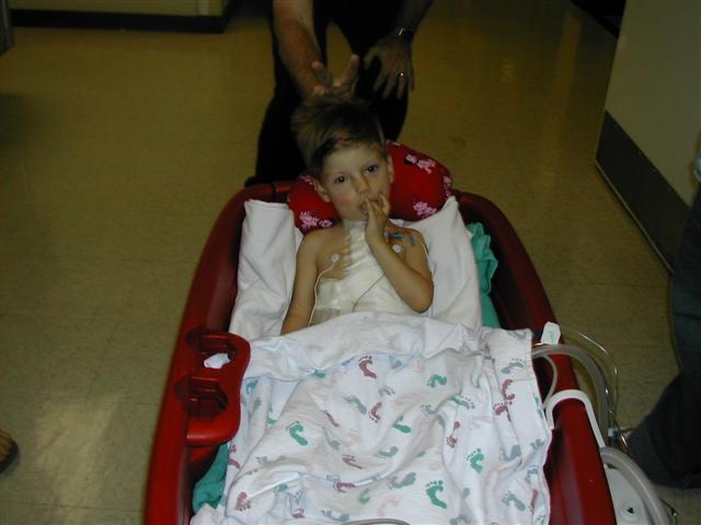 618x457 pixels (36K)