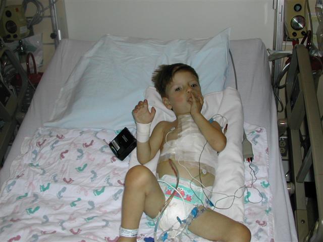 618x457 pixels (44K)