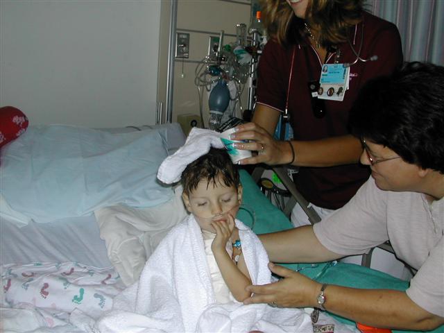 618x457 pixels (43K)