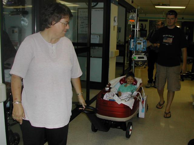 618x457 pixels (41K)