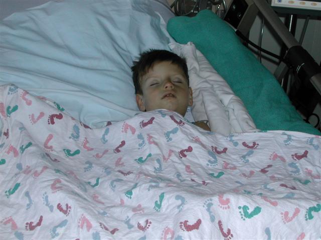 618x457 pixels (46K)