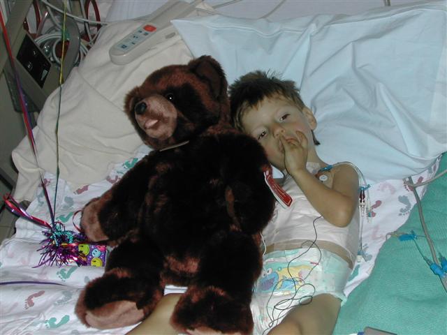 618x457 pixels (47K)