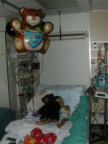 338x457 pixels (28K)