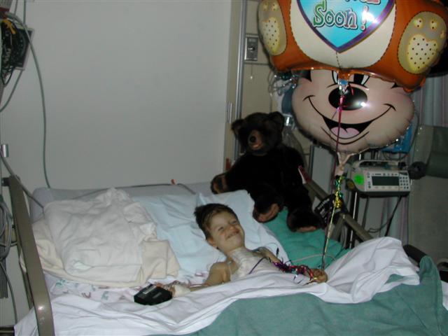 618x457 pixels (41K)