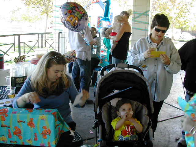 618x457 pixels (49K)